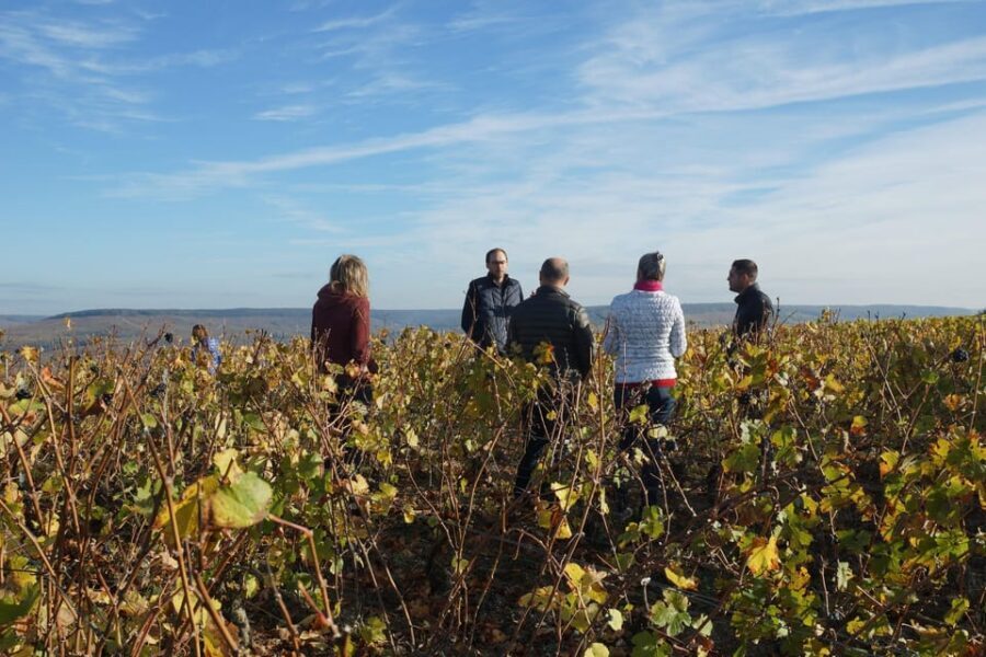 Champagne Vineyard Experience: Delve into the terroir - What the vibe is like with guides (Sarah and Chléo)