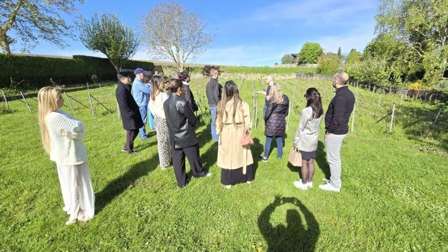 Champagne Vineyard Experience: Delve into the terroir - Price and value: $28 for a guided tasting with terroir context