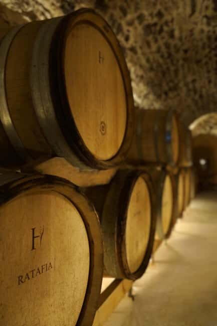 Champagne Vineyard Experience: Delve into the terroir - Walking through the vines without the marketing fog