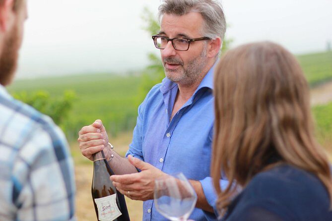 Champagne VIP Day Trip from Paris With Local PRIVATE Wine Expert Guide - Key highlights you’ll feel immediately