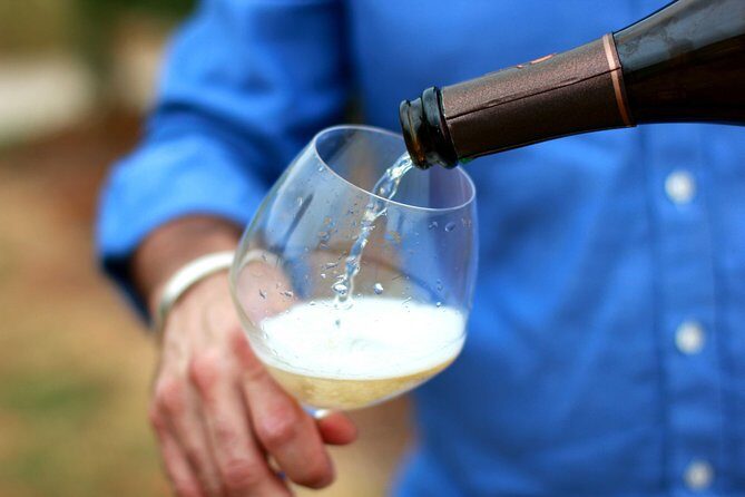 Champagne VIP Day Trip from Paris With Local PRIVATE Wine Expert Guide - Michel the vineyard owner guide: why this feels personal