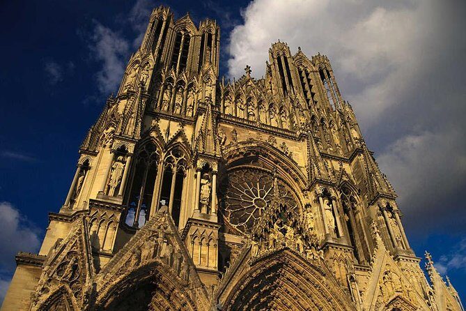 Champagne VIP Day Trip from Paris With Local PRIVATE Wine Expert Guide - Montagne de Reims: an artisan winery with cellar access and 6 tastes