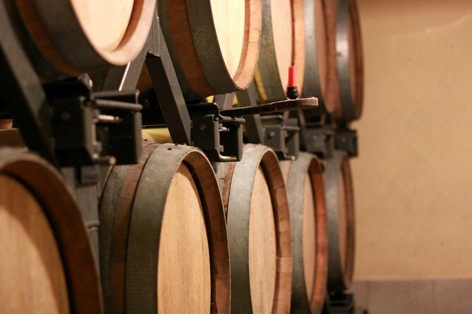 Champagne VIP Day Trip from Paris With Local PRIVATE Wine Expert Guide - Reims time: cathedral awe plus a properly paired lunch