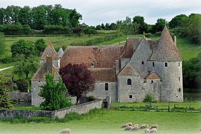 Château de Buranlure 1000 Years of History Heritage and Oenology - Honey from the property: an easy take-home
