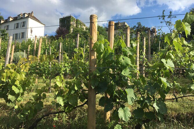 Clos Montmartre 'Paris in your Glass' Wine Tasting - Following the wine thread through Montmartre’s landmarks