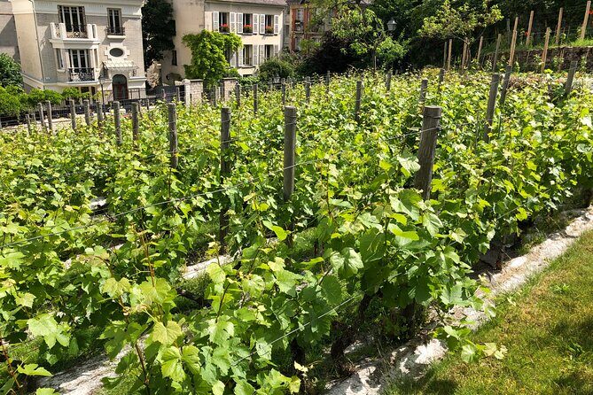 Clos Montmartre 'Paris in your Glass' Wine Tasting - Moulin de la Galette and the bread-and-milk connection