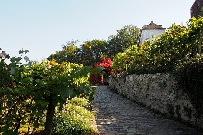 Clos Montmartre 'Paris in your Glass' Wine Tasting - Vigne du Clos Montmartre: where the story meets the bottle