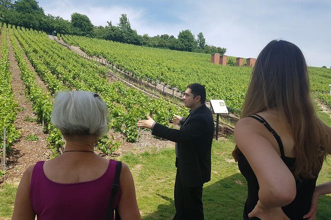 Day tour Tasting at Moët & Chandon and 2 Big Houses in Epernay - Moët & Chandon: cellars, family legacy, and your first tasting focus