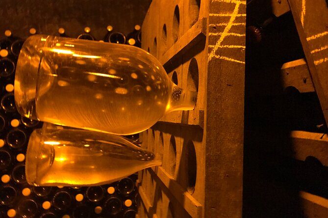 Day trip by van in Champagne small group of 8 - Independent winegrower cellars and the commented tasting finish