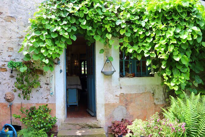 Day Trip from Paris - French Food Experience in a Country House - The walk: bamboo garden, river paths, and medieval ruins