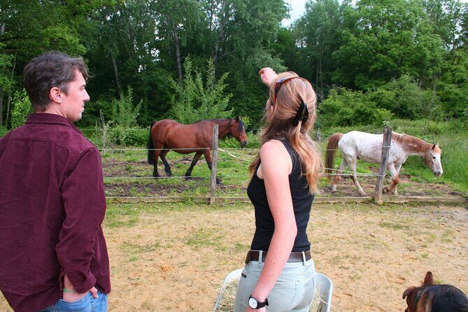 Day Trip from Paris - French Food, Rural Experiences & Horses! - Lunch in Bellot: homemade food, local cheese, and two wine pours