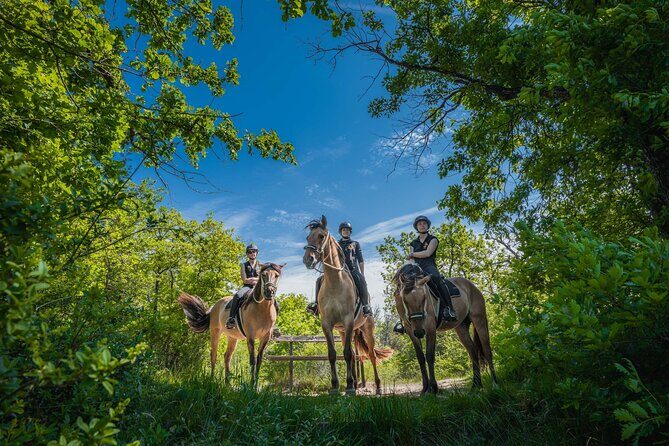 Day Trip to Fontainebleau : Horse Riding, Gastronomy and Castle - The transfer: 1h15 each way that buys you real time