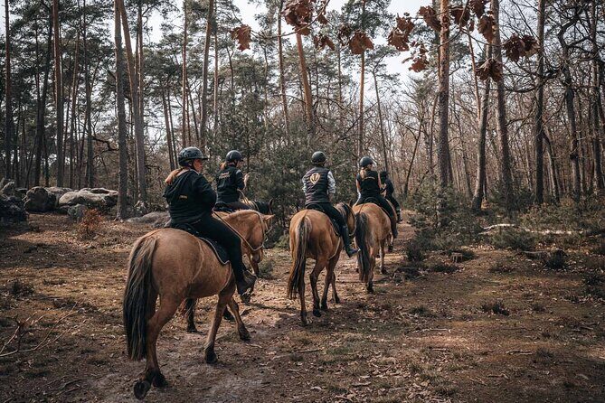 Day Trip to Fontainebleau : Horse Riding, Gastronomy and Castle - Breakfast pastries and a gastronomic lunch with wine