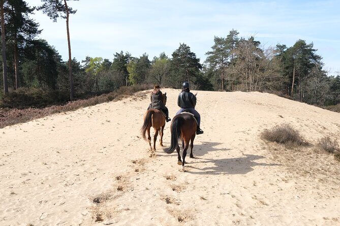 Day Trip to Fontainebleau : Horse Riding, Gastronomy and Castle - Photo strategy: how to time your shots on horseback