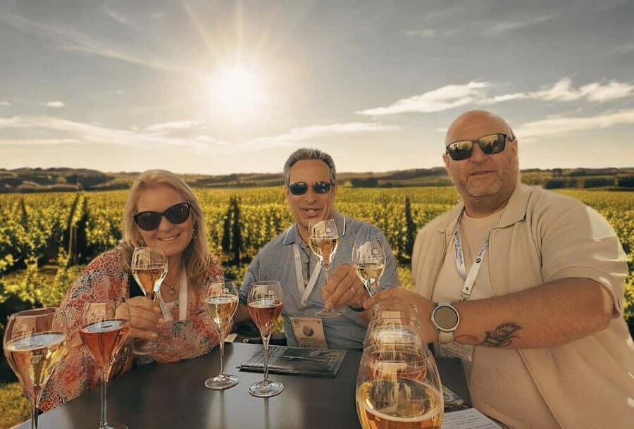 Discover Champagne Houses & Vineyards Secrets with Tastings - The Paris-to-Champagne Plan: A full day that still feels structured