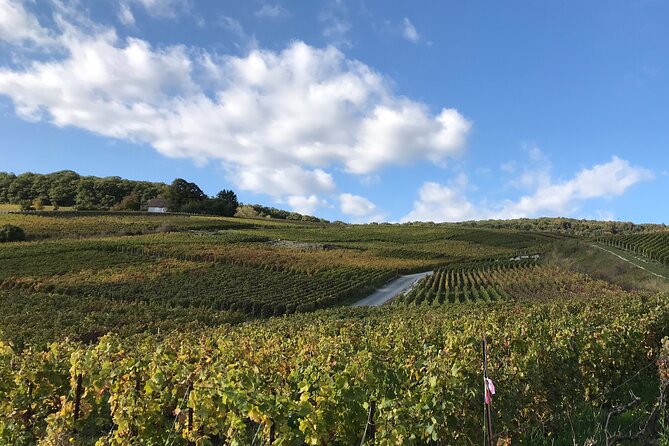 Discover Champagne in half a day in a Van - How Angélique makes the day work: stories, humor, and smart pairing talk