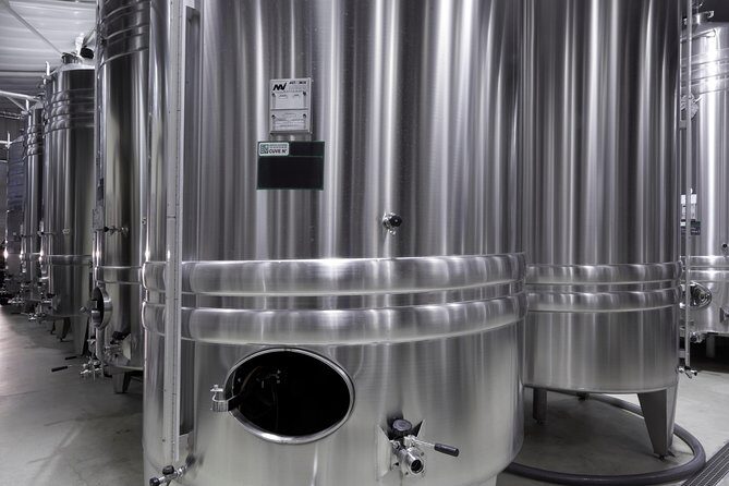 Discovery tour (2 tastings) - How grapes become champagne: the soil-to-bottle story