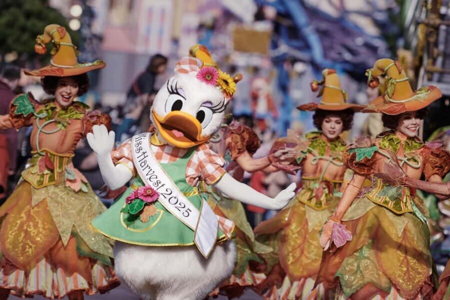 Disneyland® Paris Tickets and Shuttle Transport - Choosing your meeting point (and why it matters at night)