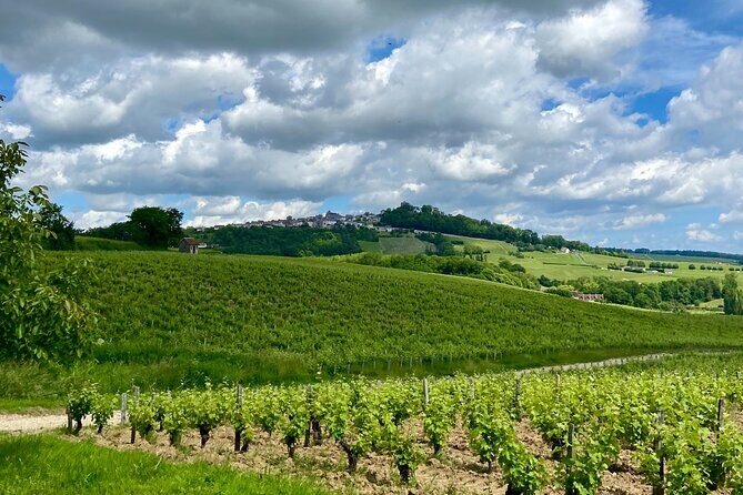Eco Circuit to Discover Sancerre - From Sancerre to the Vines: How the Golf Cart Ride Works