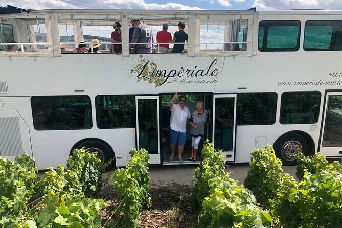 Epernay and Vineyards with Champagne Tasting - Ay-Champagne to Bollinger: tasting, photos, and saber action