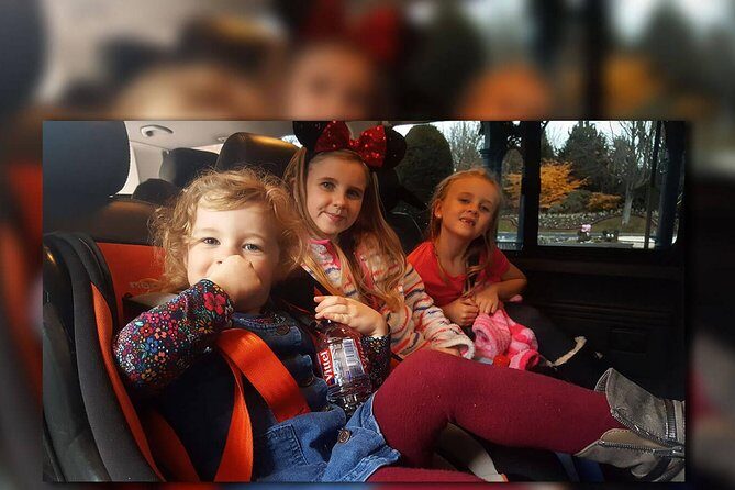 Euro Disney - CDG (One Way) Private Shuttle Transfer - Private Door-to-Door From Disneyland to CDG: How It Works