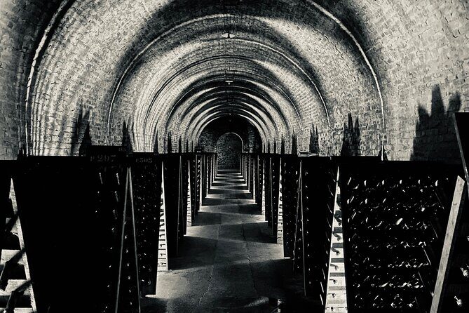 Exclusive Champagne Cellars & Dom Perignon Vineyards tour - Avenue de Champagne: prestige, walking pace, real sights
