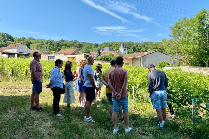 Exclusive Champagne Cellars & Dom Perignon Vineyards tour - Price and value: what $252.29 is really buying