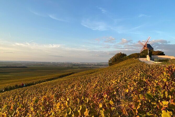 Exclusive Champagne Tour: 1 Famous+1 Boutique House & Restaurant - Lunch at Royal Champagne Hotel or Le Jardin des Crayères: Eating Like You Mean It