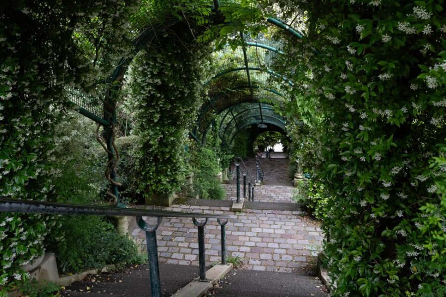 Exploring Belleville: Parisian Culture&Creativity in Motion - Markets and Daily Life: Where Paris Shows Up Without a Script