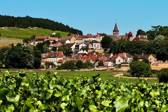 Exquisite Wines Tasting Chateau Pommard, Chablis Small-Group Trip - Stop 2 in Chablis village: Domaine Céline et Frédéric Gueguen (or Baptiste)