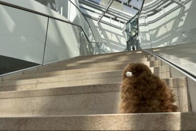 Fondation Louis Vuitton: Ticket Entry & Private Tour - Stop 1: entering the highlights and getting Paris viewpoints
