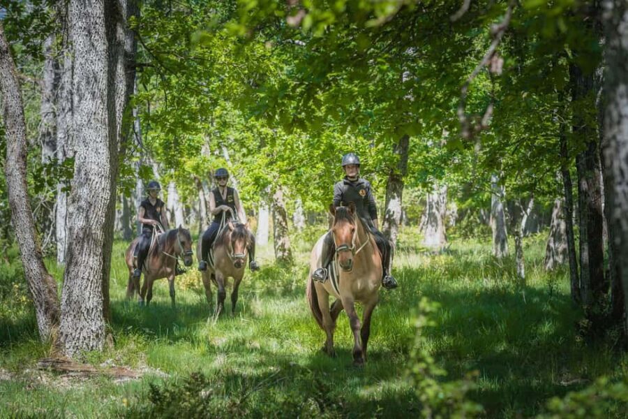 Fontainebleau : Horse-riding, Gastronomy & Château - Riding in the Forêt de Fontainebleau: your royal-forest moment