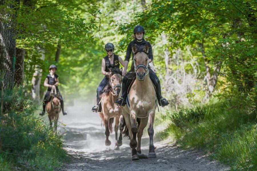 Fontainebleau : Horse-riding, Gastronomy & Château - Timing, comfort, and small tips that make the day smoother