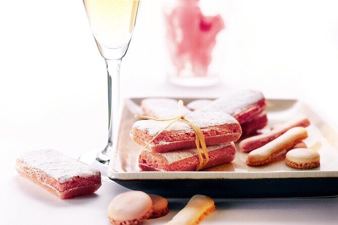 Food & Champagne Experience from Epernay (Private tour) - Aÿ vineyard stop: Grand Cru Pinot Noir and sustainable viticulture