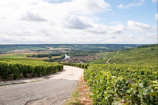 From Epernay: Champagne Small-Group tour with tastings & Lunch - Champagne-Ardenne family producer visit: a behind-the-scenes look