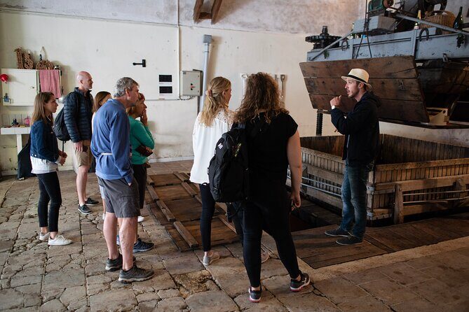 From Epernay Full day Electric bike Champagne and lunch - The shift from riding to tasting (and how the timing works)