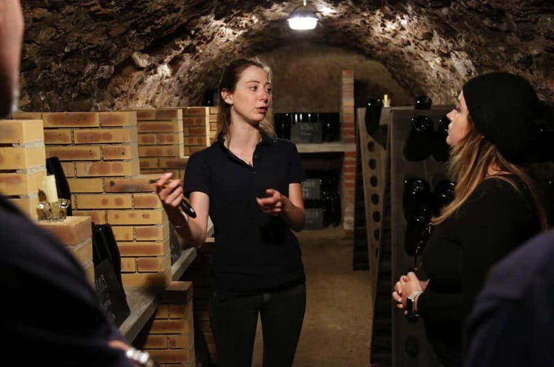From Paris: Champagne Day Trip with 7 Tastings and Lunch - Key things I’d target on this Champagne day trip