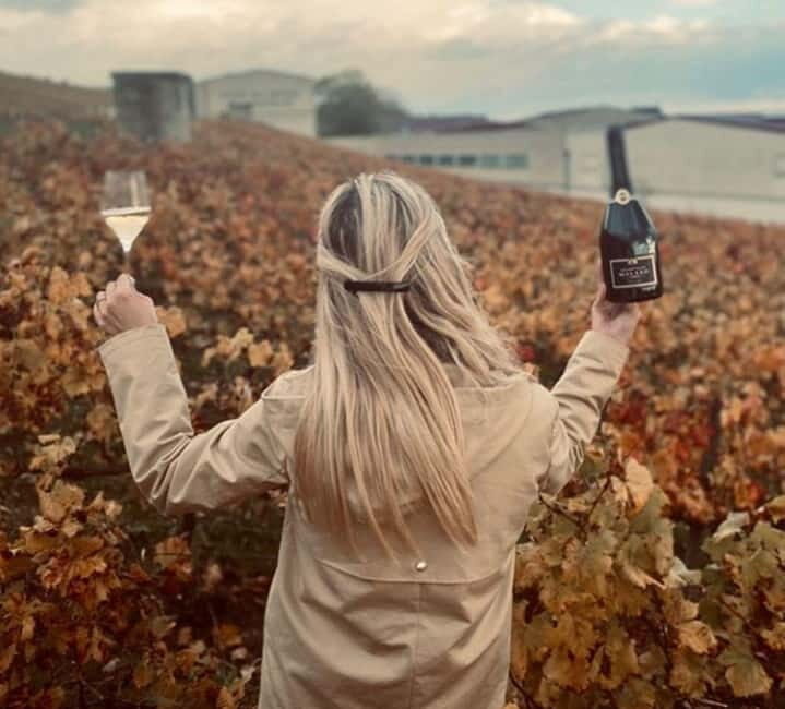 From Paris: Champagne Day Trip with 7 Tastings and Lunch - The 10-hour rhythm: timing, bus comfort, and what to plan for