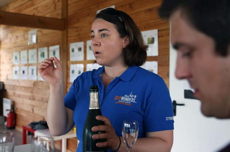 From Paris: Champagne Day Trip with 7 Tastings and Lunch - Price and value: is $293 per person “worth it” for your style?