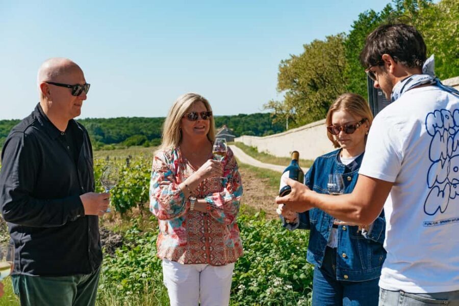 From Paris: Loire Valley Chambord Castle and Wine Tasting - A Small-Group Loire Day Trip Starts in Your Paris Hotel