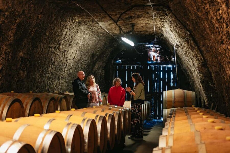 From Paris: Loire Valley Chambord Castle and Wine Tasting - Château de Chambord: Renaissance Architecture You’ll Want to Re-See