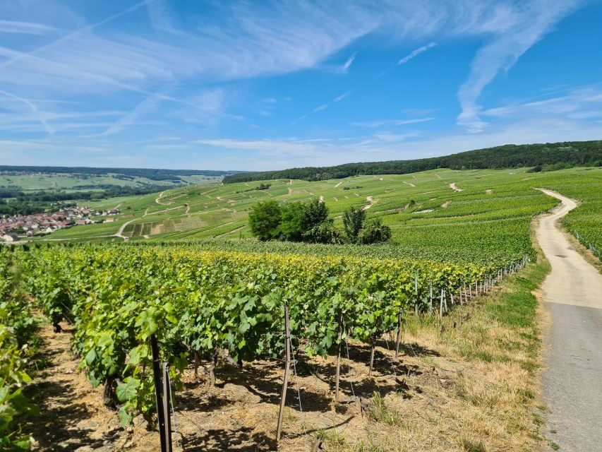 From Paris: Prestige Champagne Tour and Tastings - Who this tour fits best (and who might want a different plan)