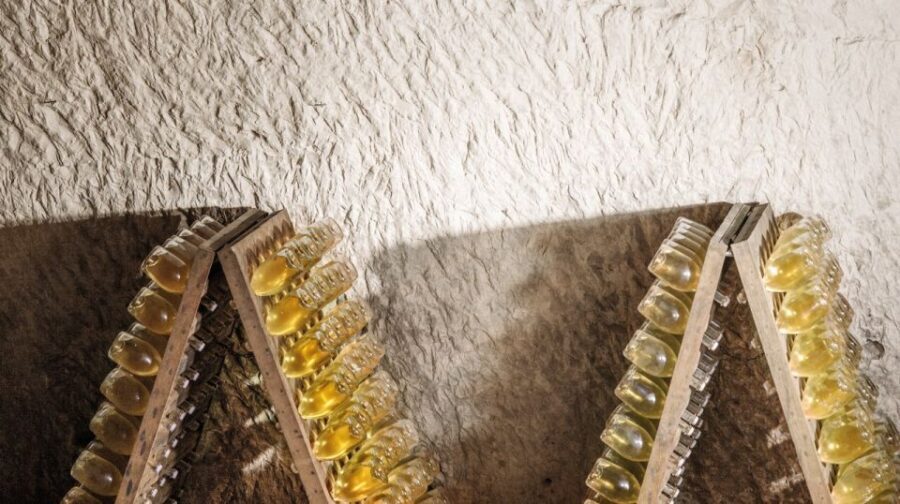 From Paris: Prestige Champagne Tour and Tastings - Pickup, private van, and why comfort matters for tastings