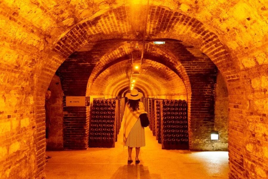 From Paris: Prestige Champagne Tour and Tastings - The tasting reality check: pacing, cold cellars, and what to bring