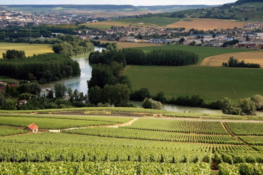 From Paris: Private Champagne Tour, Tastings at Moet&Chandon - How the Guide Level Changes the Whole Day