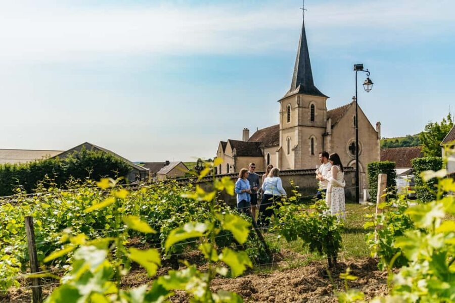 From Paris: Private Sancerre Wine Tour w 10 Tastings & Lunch - The terroirs lesson: Les Calcaires, Les Terres Blanches, Les Silex