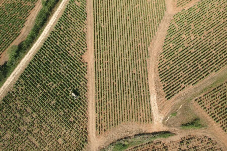 From Paris: Private Sancerre Wine Tour w 10 Tastings & Lunch - Family wineries: cellars, tastings, and what to focus on