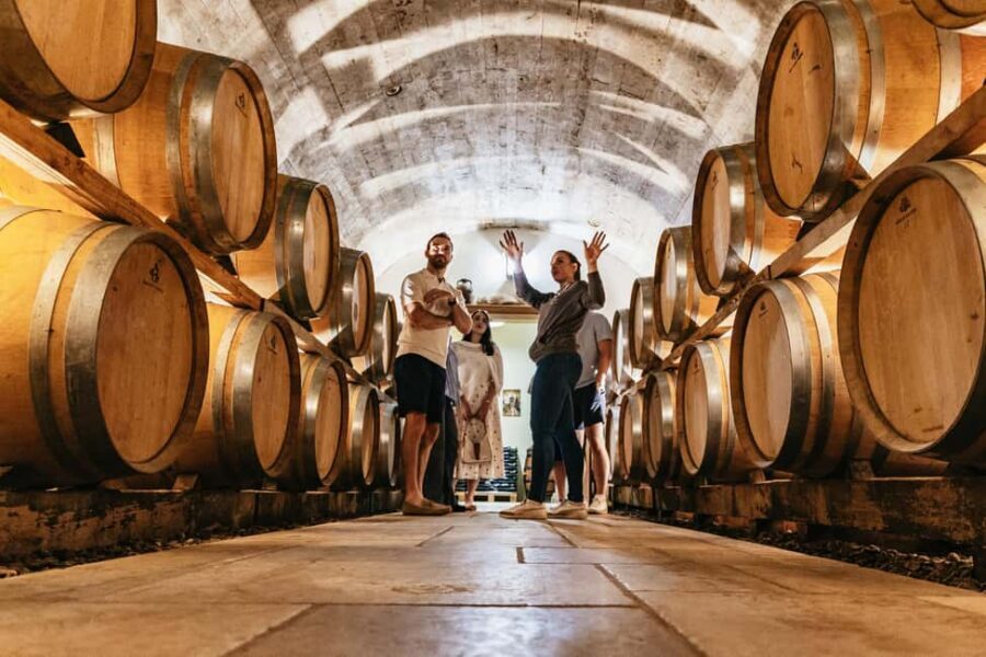 From Paris: Private Sancerre Wine Tour w 10 Tastings & Lunch - From Paris pickup to your first taste: croissants and context