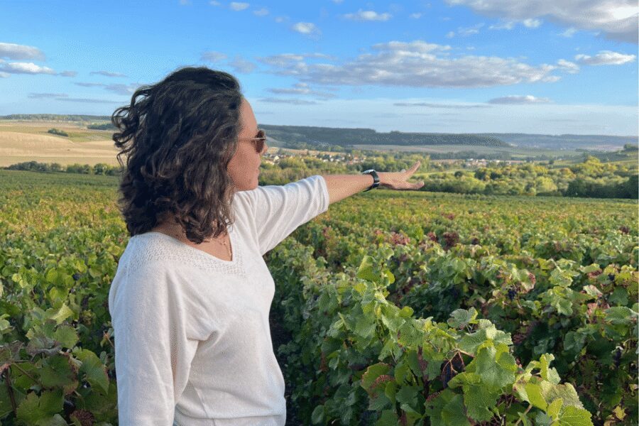 From Paris: Wine Day trip to SANCERRE w 10 Tastings & Lunch - Paris to Sancerre: the most comfortable kind of long day