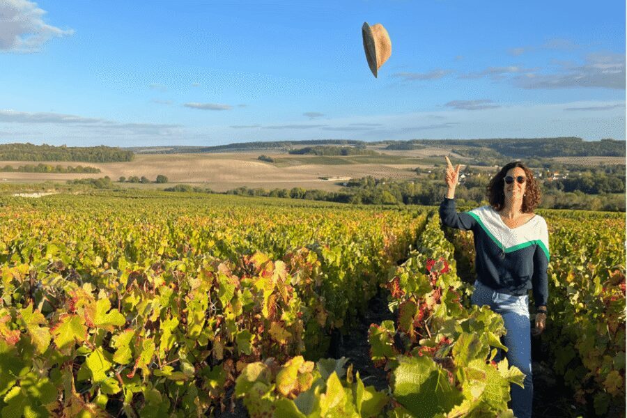 From Paris: Wine Day trip to SANCERRE w 10 Tastings & Lunch - The vineyard viewpoint and the in-vines tasting stop (seasonal)